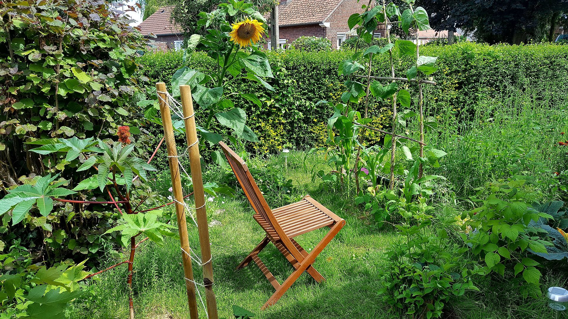C’est décidé je me lance dans la permaculture